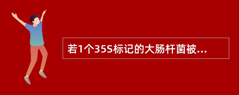 若1个35S标记的大肠杆菌被1个32P标记的噬菌体侵染，裂解后释放的所有噬菌体（