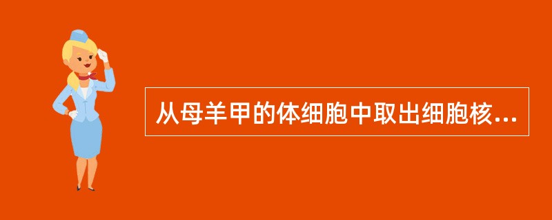 从母羊甲的体细胞中取出细胞核，注入到母羊细胞乙去掉核的卵细胞中，融合后的细胞经卵