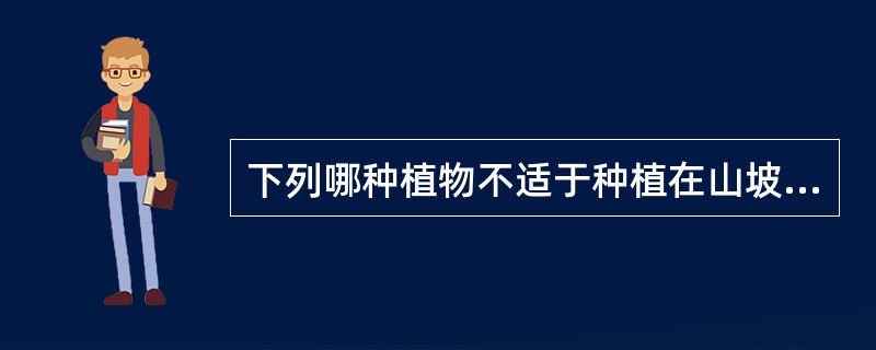 下列哪种植物不适于种植在山坡上（）