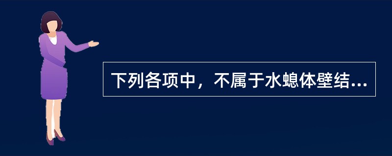 下列各项中，不属于水螅体壁结构的是（）