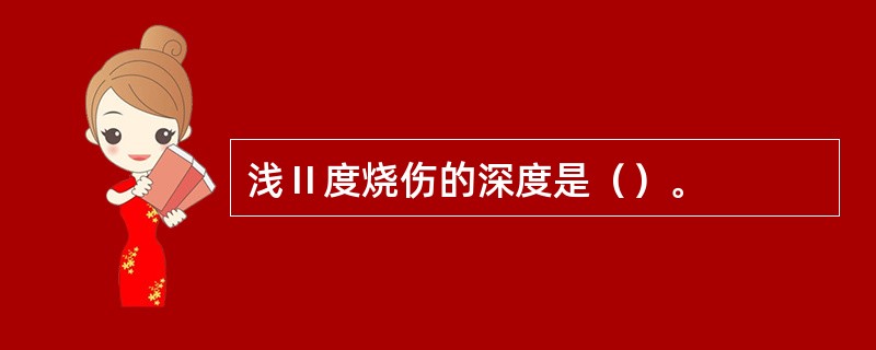 浅Ⅱ度烧伤的深度是（）。