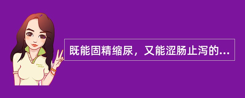 既能固精缩尿，又能涩肠止泻的药物是（）