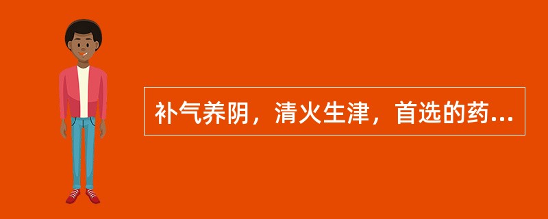 补气养阴，清火生津，首选的药物是（）