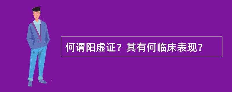 何谓阳虚证？其有何临床表现？