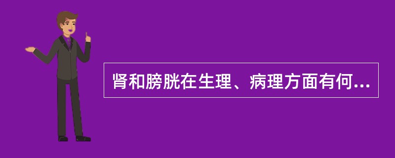 肾和膀胱在生理、病理方面有何联系？