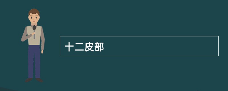 十二皮部