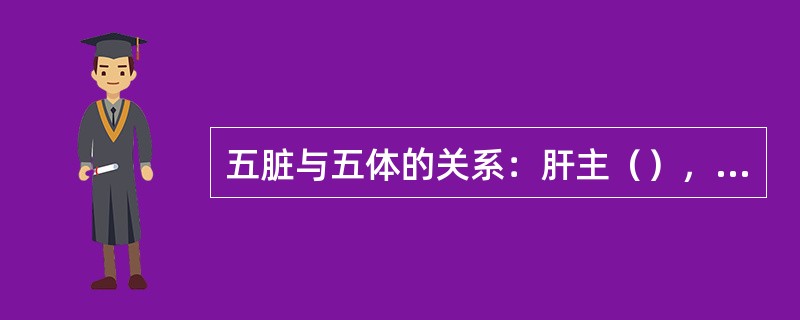 五脏与五体的关系：肝主（），脾主（）