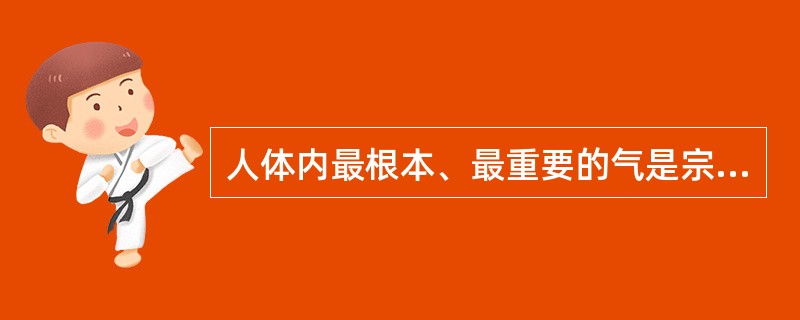 人体内最根本、最重要的气是宗气。