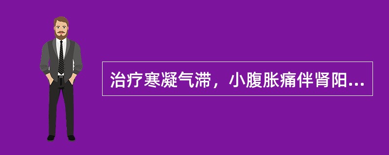 治疗寒凝气滞，小腹胀痛伴肾阳不足，小便频数者，应首选（）