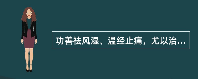 功善祛风湿、温经止痛，尤以治风寒湿痹寒邪偏盛者为宜的药物是（）