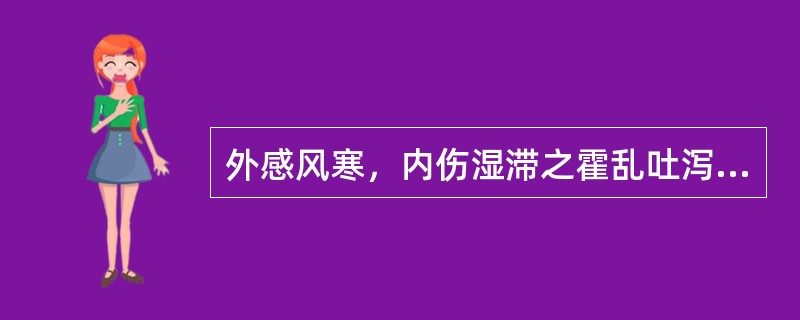 外感风寒，内伤湿滞之霍乱吐泻证。治宜（）