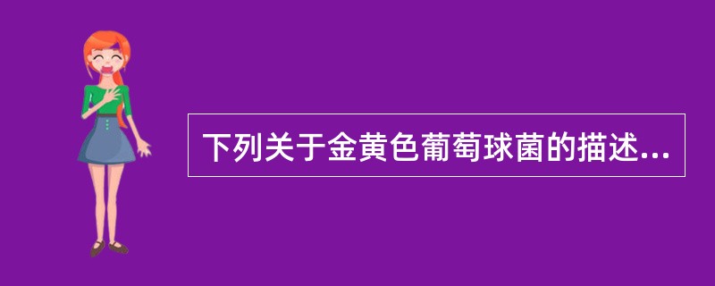 下列关于金黄色葡萄球菌的描述正确的是（）。