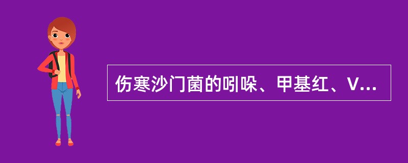 伤寒沙门菌的吲哚、甲基红、VP和枸橼酸盐试验结果为（）。
