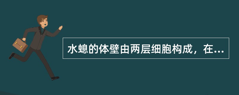 水螅的体壁由两层细胞构成，在两层细胞之间为中胶层。（）