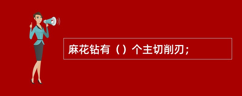 麻花钻有（）个主切削刃；