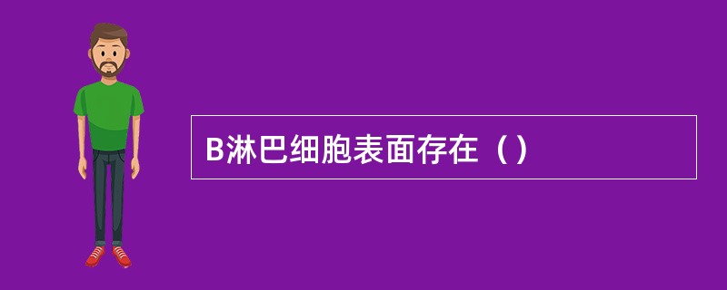 B淋巴细胞表面存在（）