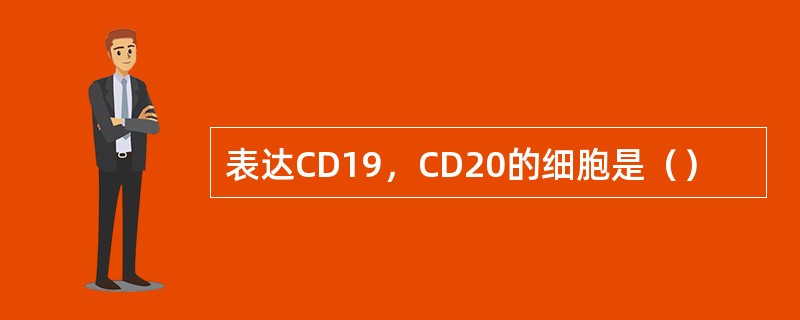 表达CD19，CD20的细胞是（）