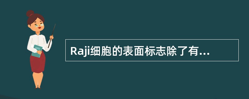 Raji细胞的表面标志除了有C3b受体、没有SmIg外，其他是（）