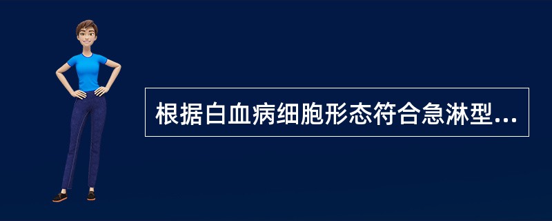 根据白血病细胞形态符合急淋型白血病的特点是：（）