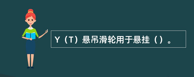Y（T）悬吊滑轮用于悬挂（）。