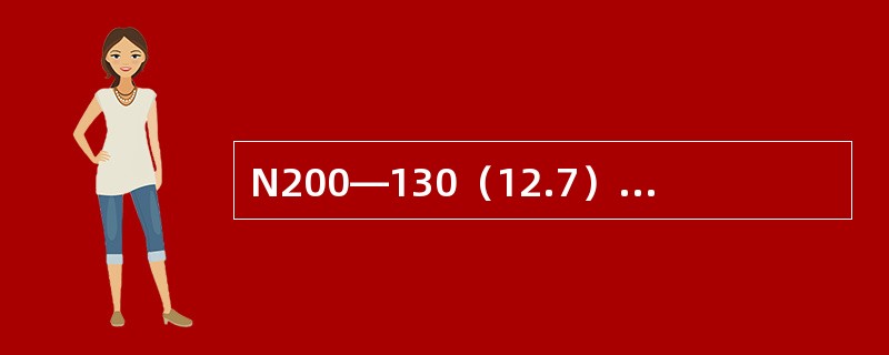 N200—130（12.7）/535/535的意义？