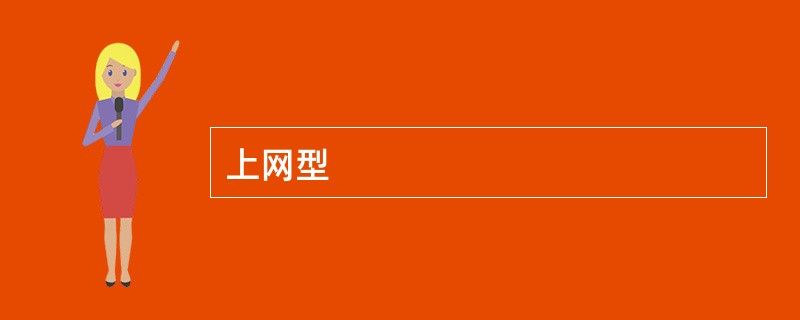 上网型