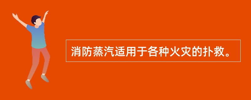 消防蒸汽适用于各种火灾的扑救。