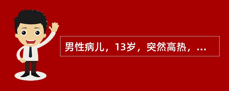 男性病儿，13岁，突然高热，持续不退4天，伴左大腿外上方疼痛和肿胀。查体：体温3