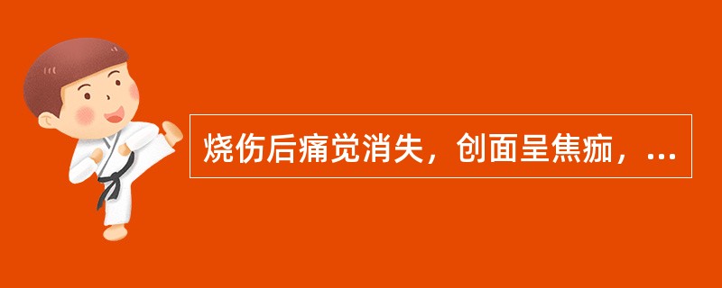 烧伤后痛觉消失，创面呈焦痂，痂下水肿严重，留有瘢痕，为（）。