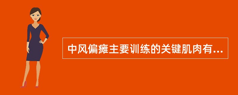 中风偏瘫主要训练的关键肌肉有（）。