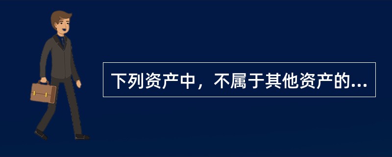 下列资产中，不属于其他资产的有（）。