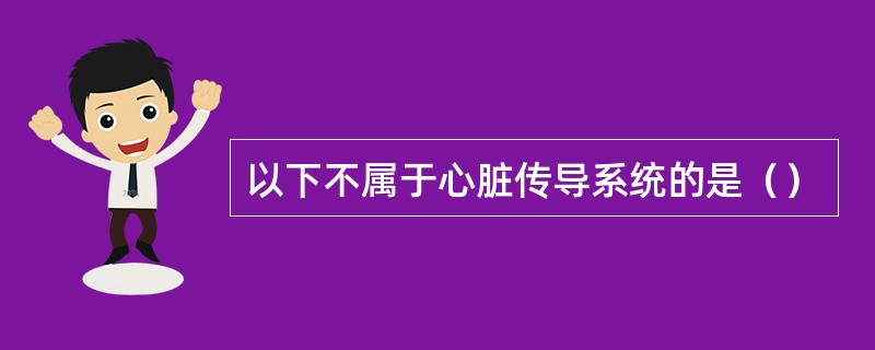 以下不属于心脏传导系统的是（）