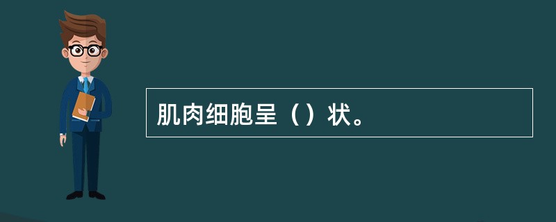 肌肉细胞呈（）状。