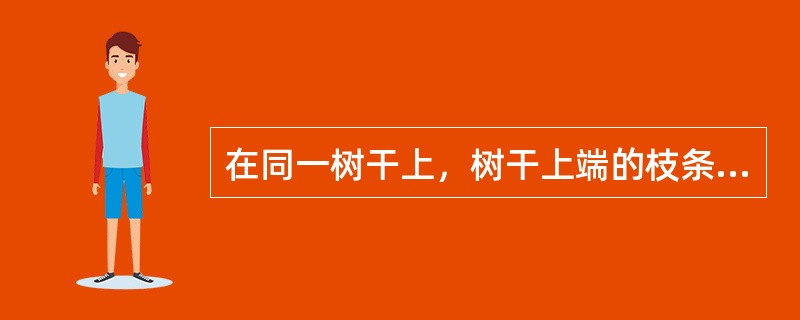 在同一树干上，树干上端的枝条较树干下端的枝条发育阶段晚。