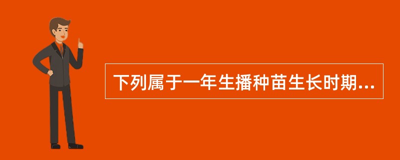 下列属于一年生播种苗生长时期的有（）。