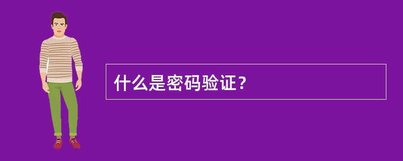 什么是密码验证？