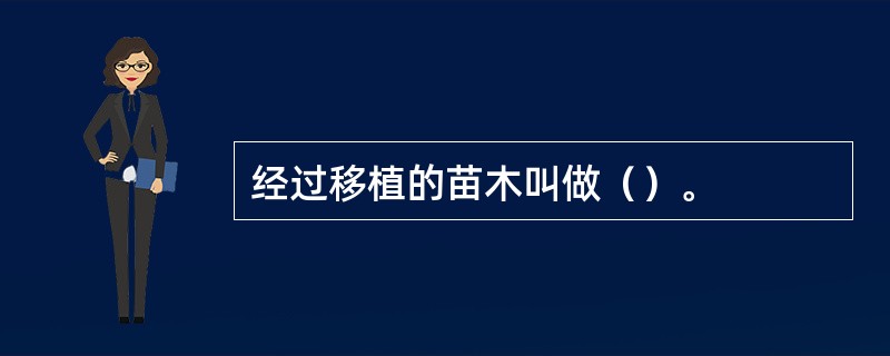 经过移植的苗木叫做（）。