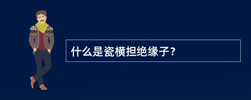 什么是瓷横担绝缘子？