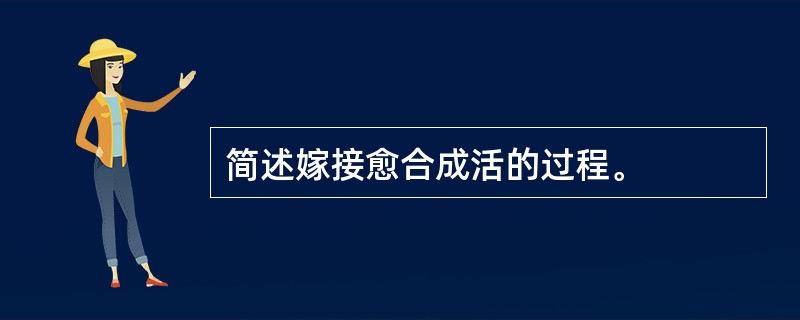 简述嫁接愈合成活的过程。