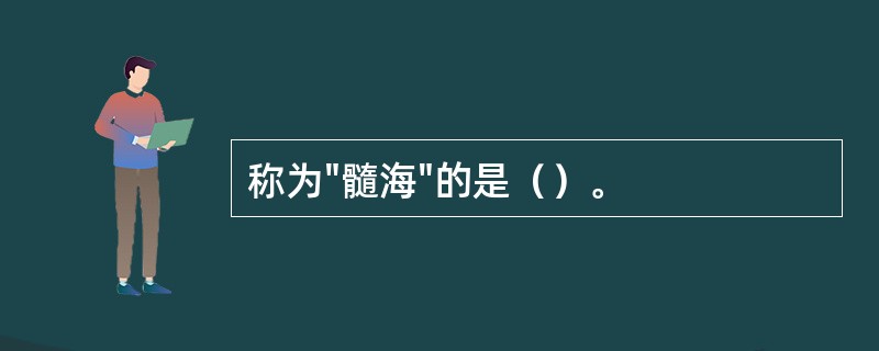 称为"髓海"的是（）。