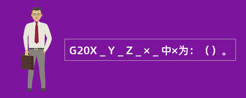 G20X＿Y＿Z＿×＿中×为：（）。