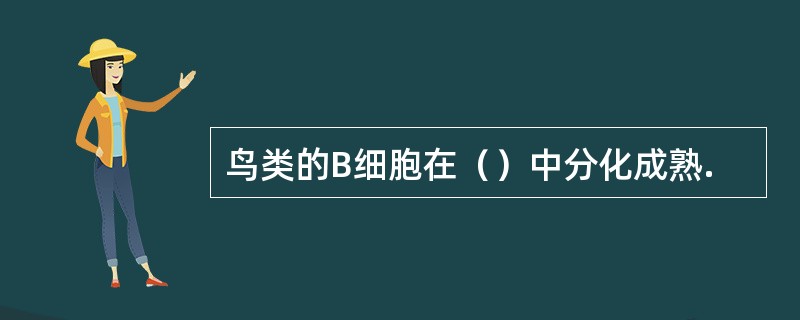 鸟类的B细胞在（）中分化成熟.