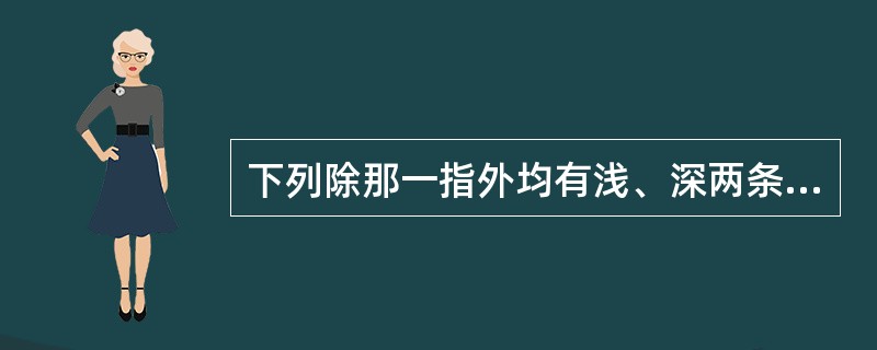 下列除那一指外均有浅、深两条屈肌腱？（）