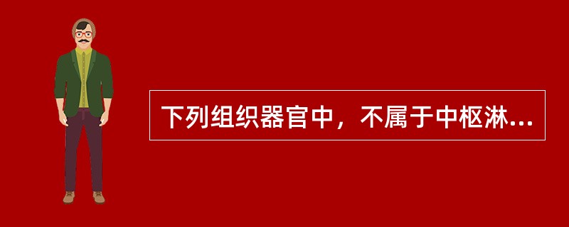 下列组织器官中，不属于中枢淋巴器官的是（）.