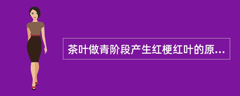 茶叶做青阶段产生红梗红叶的原因是（）。