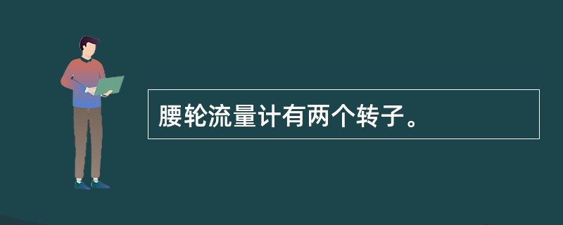 腰轮流量计有两个转子。