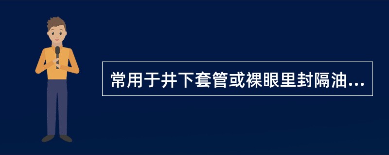 常用于井下套管或裸眼里封隔油气水层段的专用工具是（）。