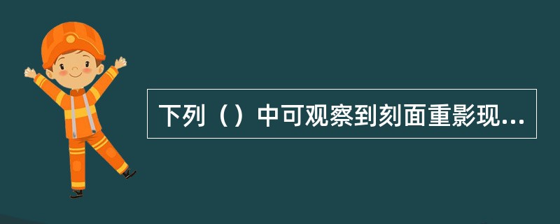 下列（）中可观察到刻面重影现象。