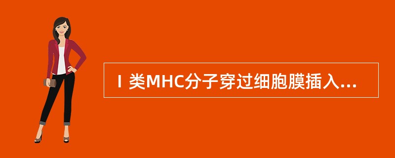 Ⅰ类MHC分子穿过细胞膜插入胞质的部分是（）