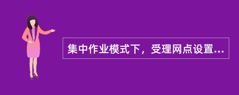 集中作业模式下，受理网点设置的人员有（）。